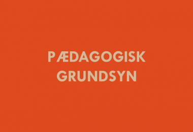 pædagogisk grundsyn