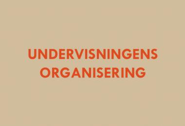 Undervisningens organinsering