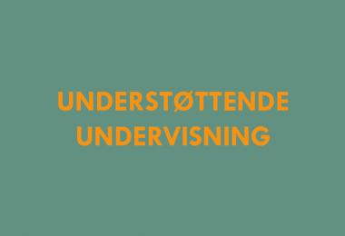 understøttende undervisning